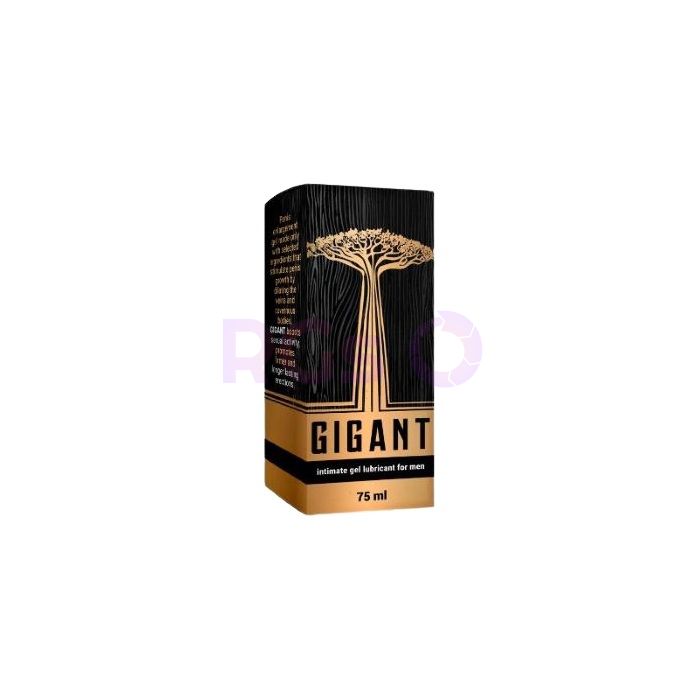 ⟦ Gigant ⟧