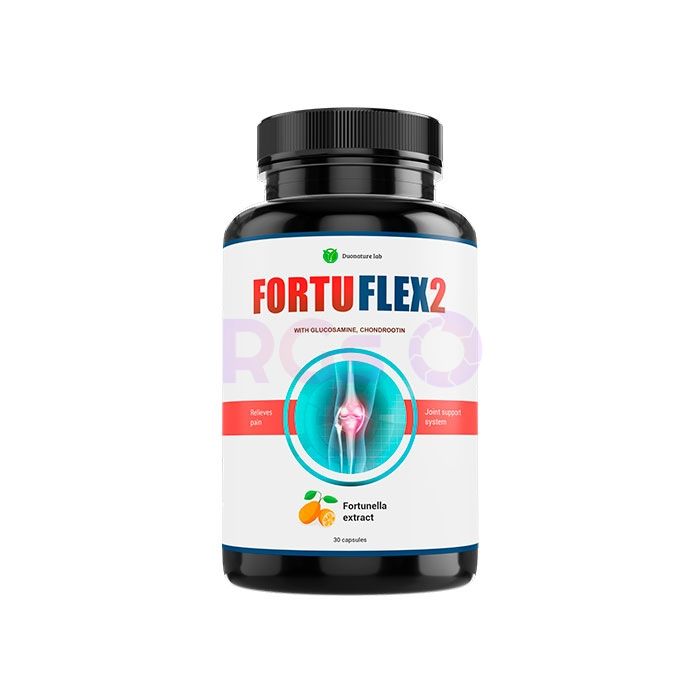 ⟦ Fortuflex2 ⟧