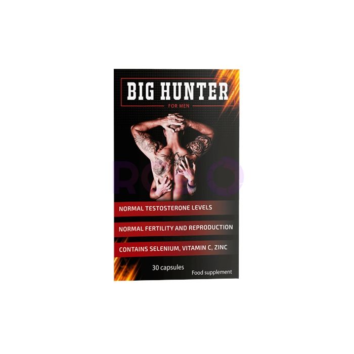 ⟦ Big Hunter ⟧